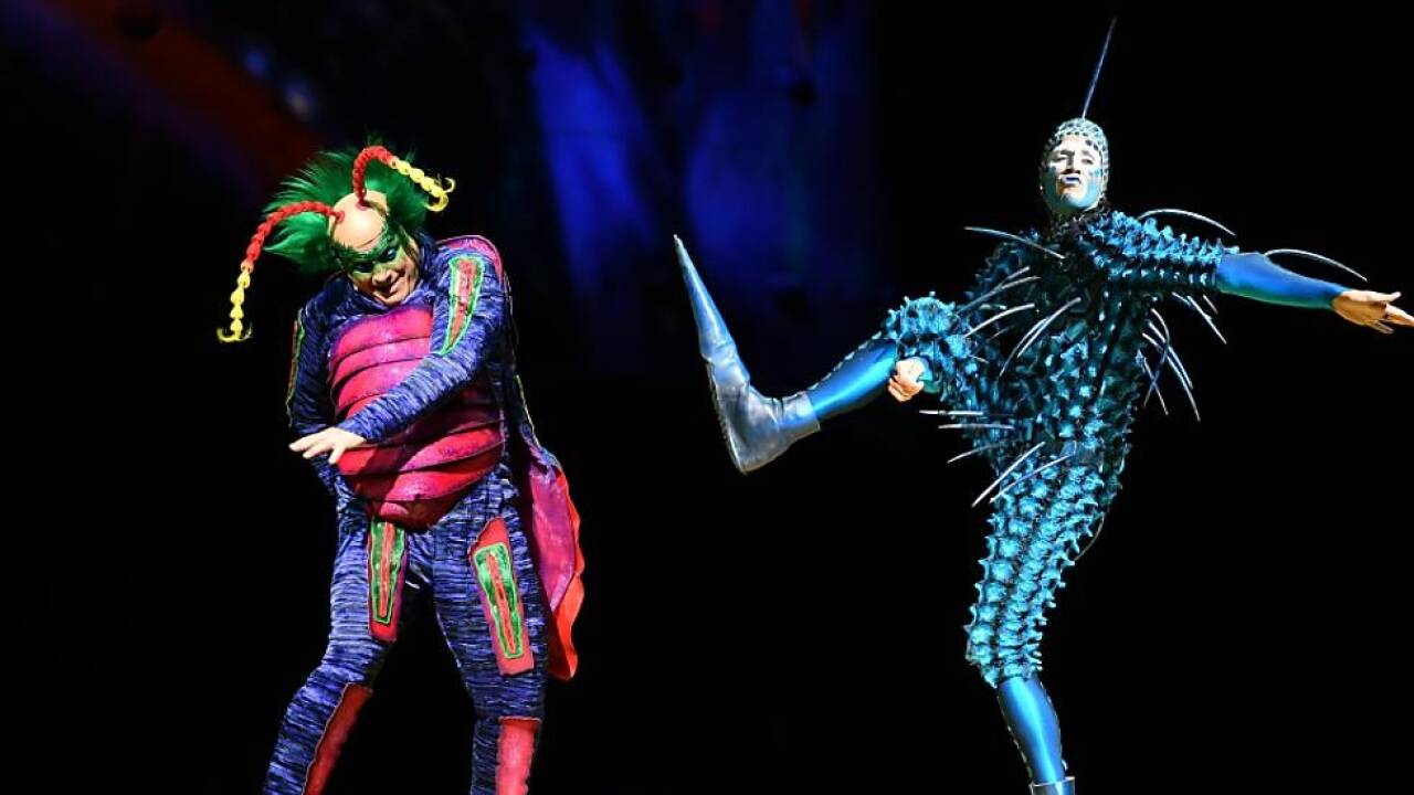 Master Flipo (links) ist ein Klagenfurter Käfer 