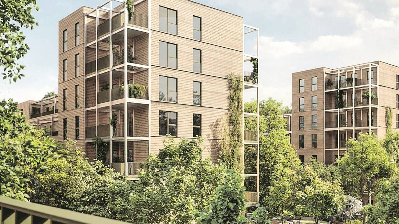 Grüne „Baumstadt“ inmitten von Wien-Floridsdorf.  