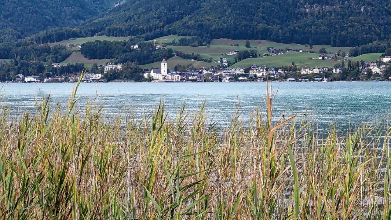 Die jungen Herren vor der steirischen Wallfahrtskirche. 