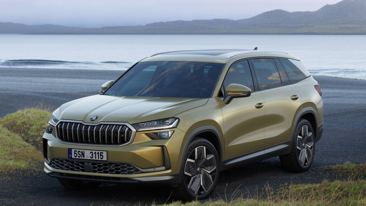 Der Kodiaq muss nicht polarisieren. 