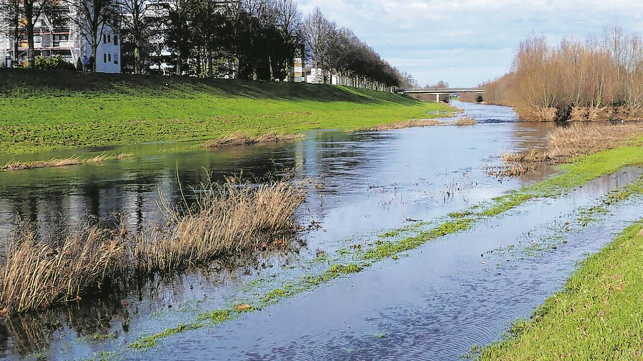 In Rastatt wurden neue Retentionsflächen für den Überflutungs- und Hochwasserschutz geschaffen.  
