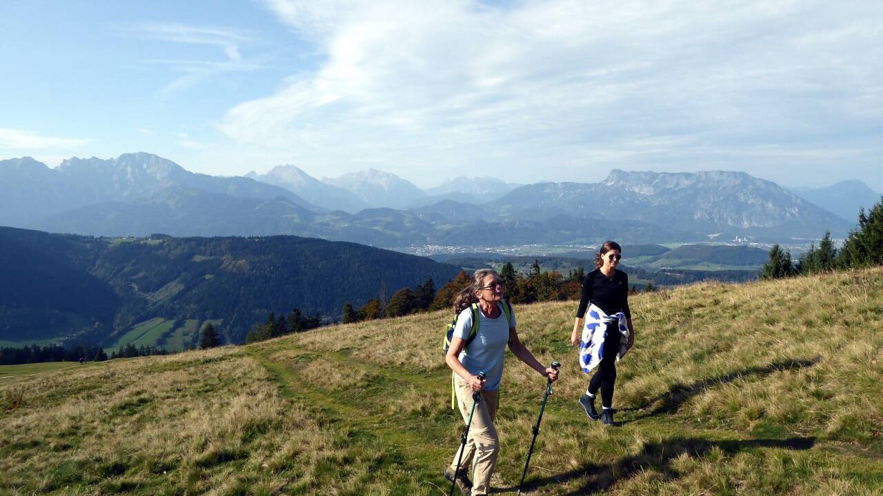Der sonnige Aufstieg über den Spielbergrücken auf das Wieserhörndl.  