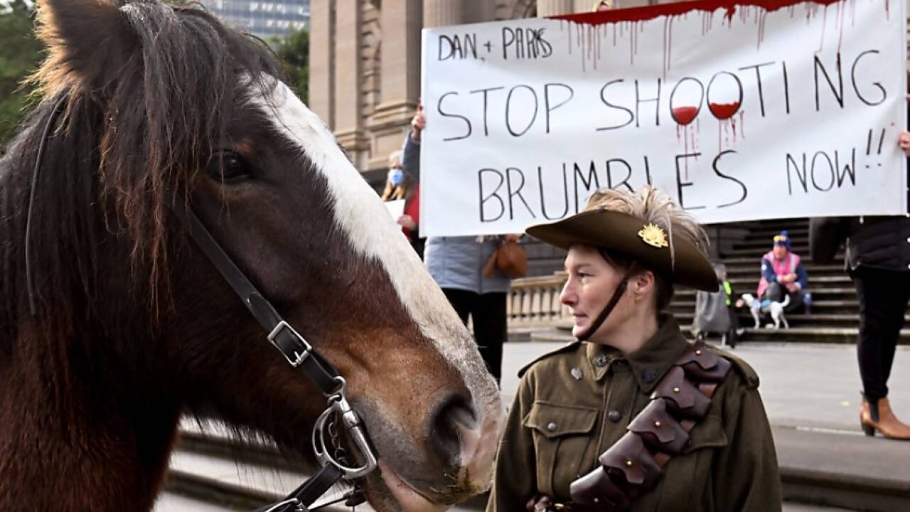 Protest gegen das Abschie§en der Brumby-Pferde im Sommer 2022 Protest gegen das Abschie§en der Brumby-Pferde im Sommer 2022
