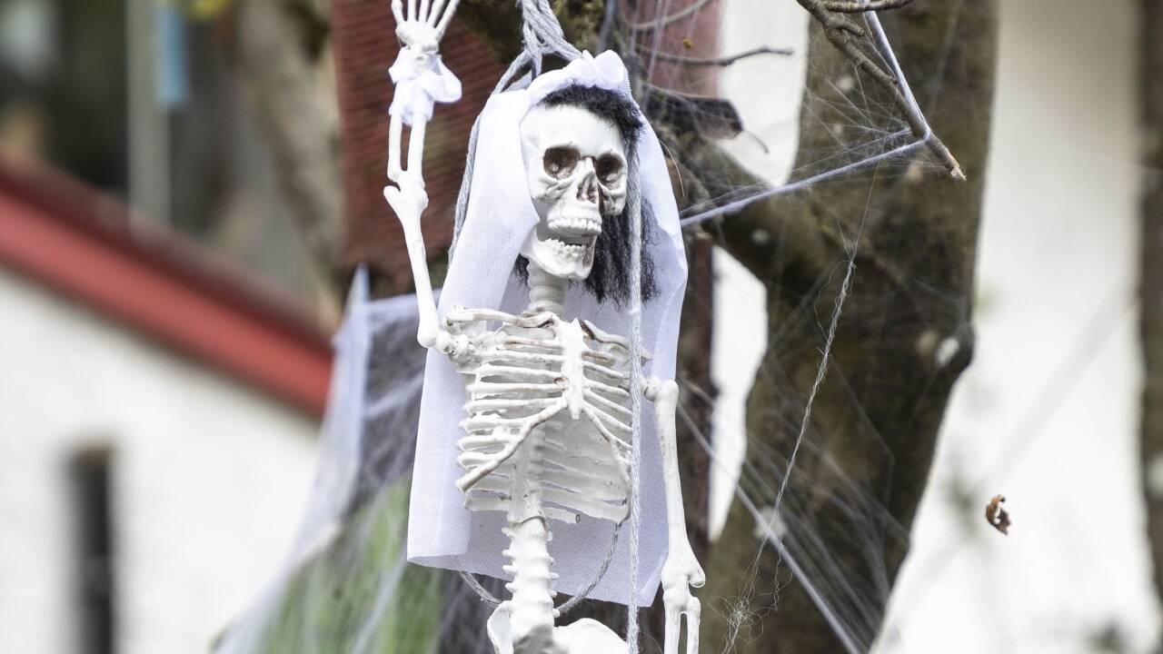 Überall im Garten hängen Skelette.  