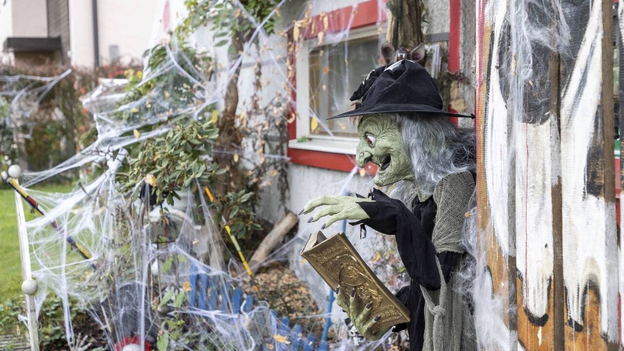 Künstliche Spinnweben überziehen Büsche und Beete. 