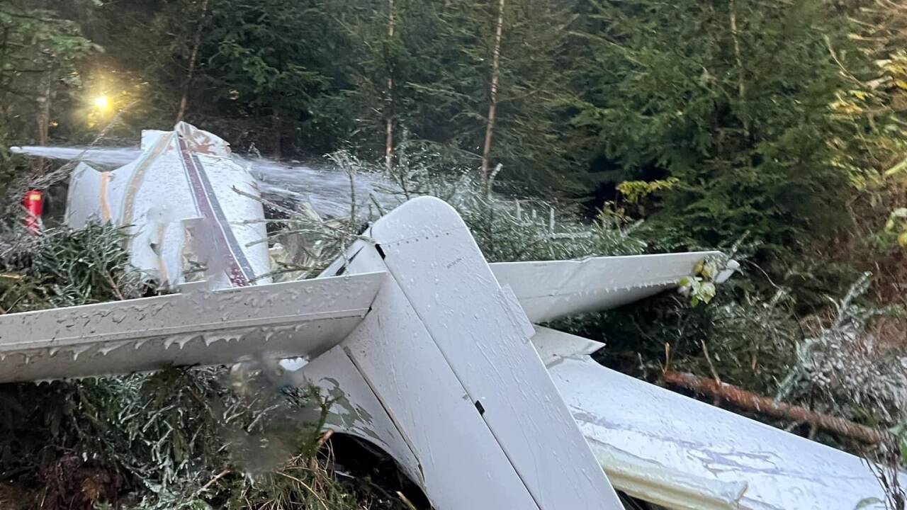 Das Kleinflugzeug hatte sich infolge des Absturzes massiv in den Waldboden gerammt. Für die vier Insassen kam jede Hilfe zu spät. Das Kleinflugzeug hatte sich infolge des Absturzes massiv in den Waldboden gerammt. Für die vier Insassen kam jede Hilfe zu spät.