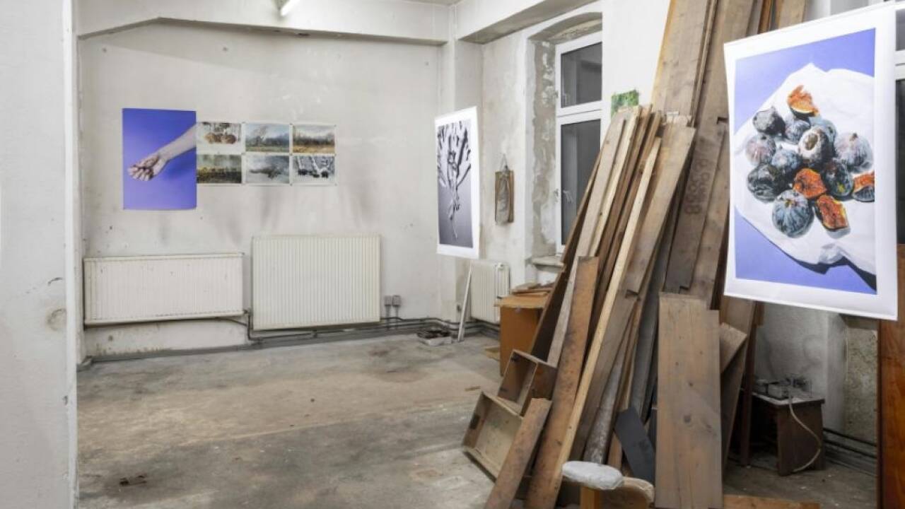 Kunst in der verlassenen Alpaka-Weberei bei der Vienna Art Week 
