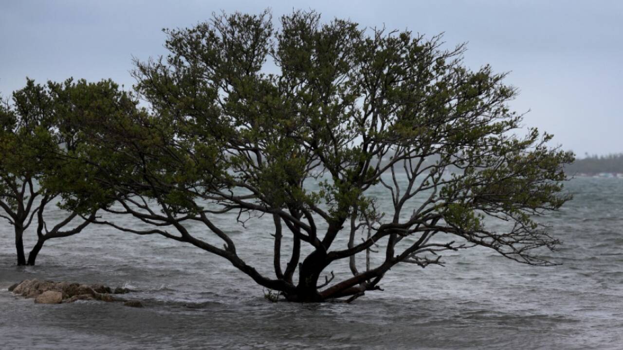 Soziale Ungleichheit spiegelt sich auch in Klimakrise 