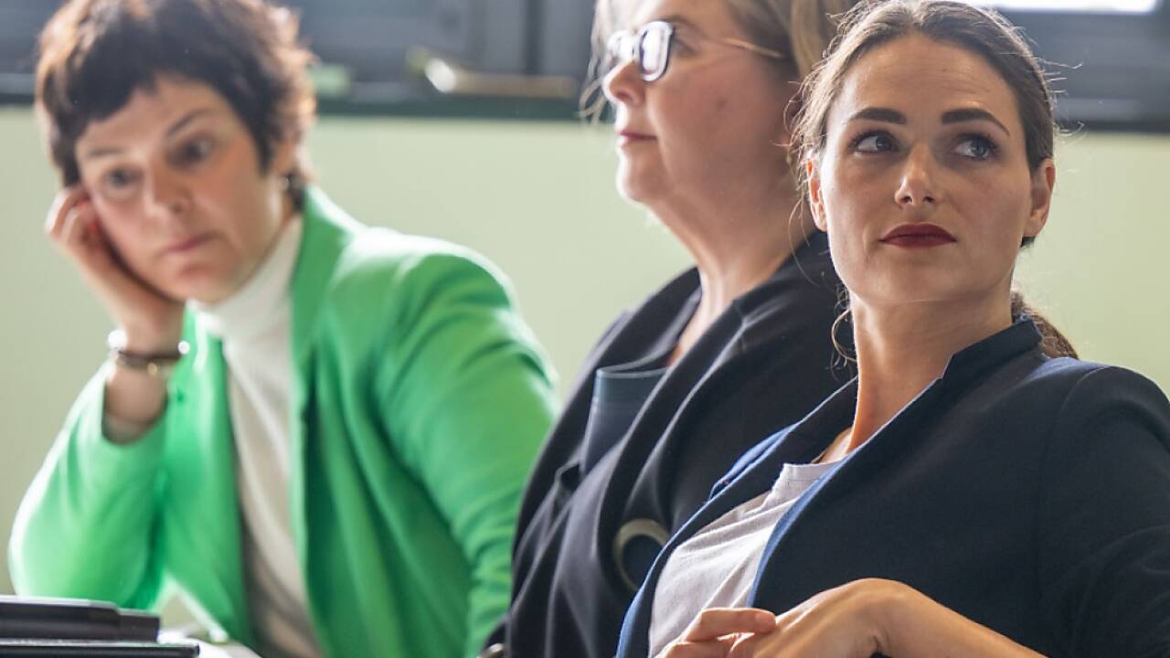 Neßler (rechts im Bild) reitet heftige Attacken gegen Sobotka  Neßler (rechts im Bild) reitet heftige Attacken gegen Sobotka