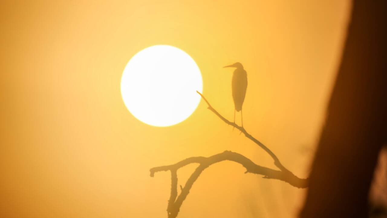 Das Ende Des Sommers Wetter Eu Klimadienst Meldet Drittwärmsten Juli Diese Meldung Schockiert - axojsc6