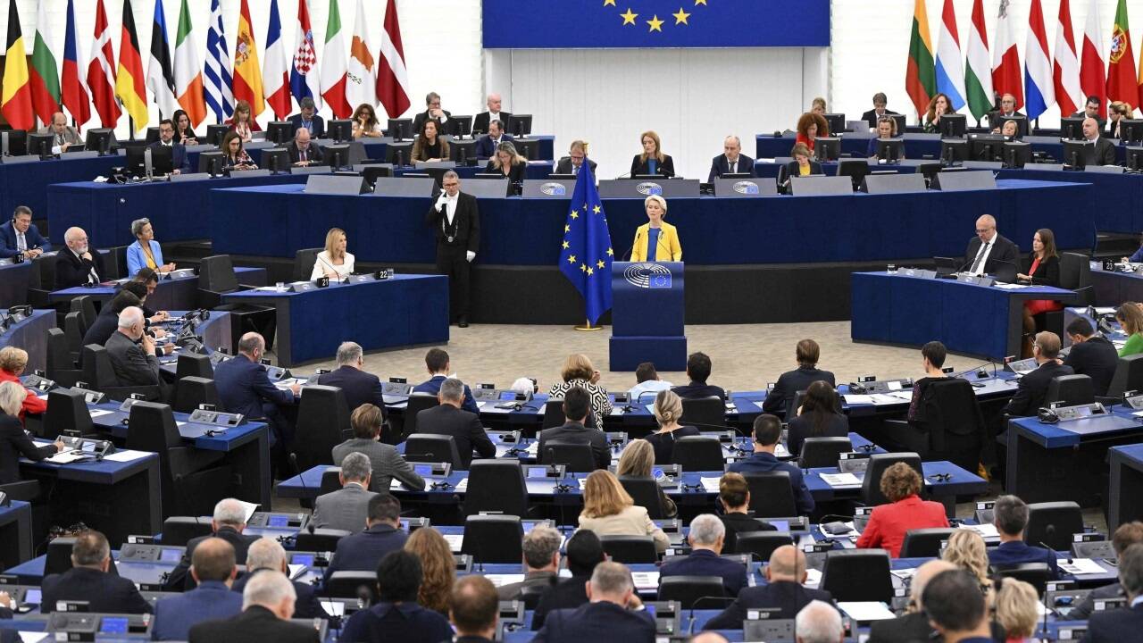 Von Simultanübersetzungen bei Ausschuss- und Plenarsitzungen bis zur Übersetzung von legislativen Dokumenten: Allein das Europäische Parlament beschäftigt rund 600 Übersetzerinnen und Übersetzer, etwa 30 Prozent der Leistungen sind an freie Mitarbeiterinnen und Mitarbeiter ausgelagert.  Von Simultanübersetzungen bei Ausschuss- und Plenarsitzungen bis zur Übersetzung von legislativen Dokumenten: Allein das Europäische Parlament beschäftigt rund 600 Übersetzerinnen und Übersetzer, etwa 30 Prozent der Leistungen sind an freie Mitarbeiterinnen und Mitarbeiter ausgelagert.