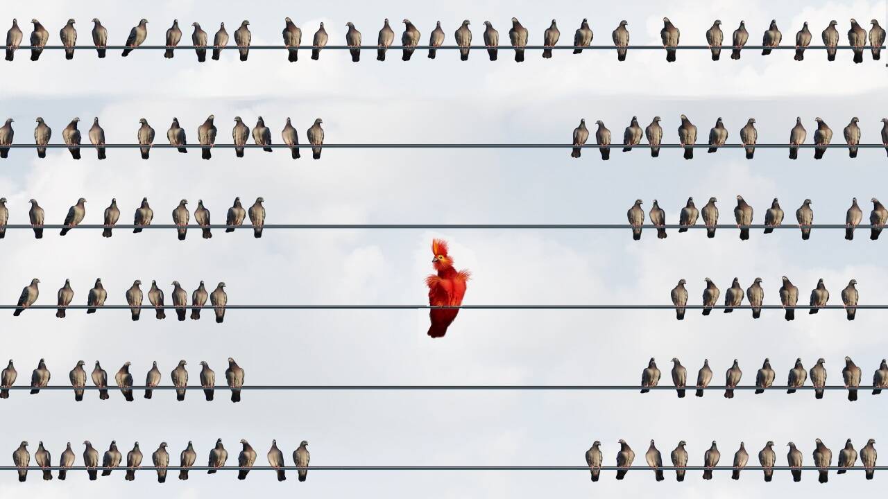Wer auf dem Bild sind Sie am ehesten? Erraten, das ist eine Fangfrage.  