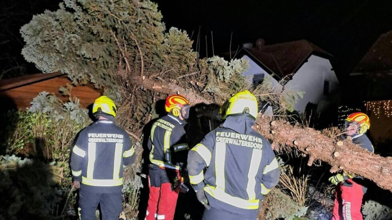 Viele Feuerwehreinsätze wegen umgestürzten Bäumen 