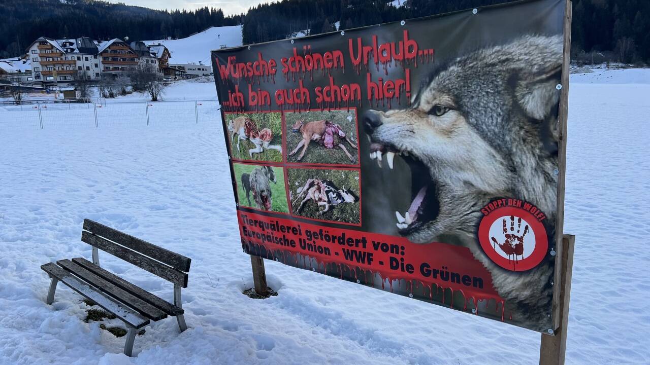 In St. Margarethen im Lungau schockieren diese Bilder Spaziergänger. 