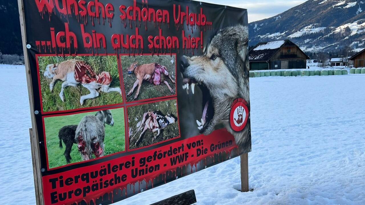 In St. Margarethen im Lungau schockieren diese Bilder Spaziergänger. 