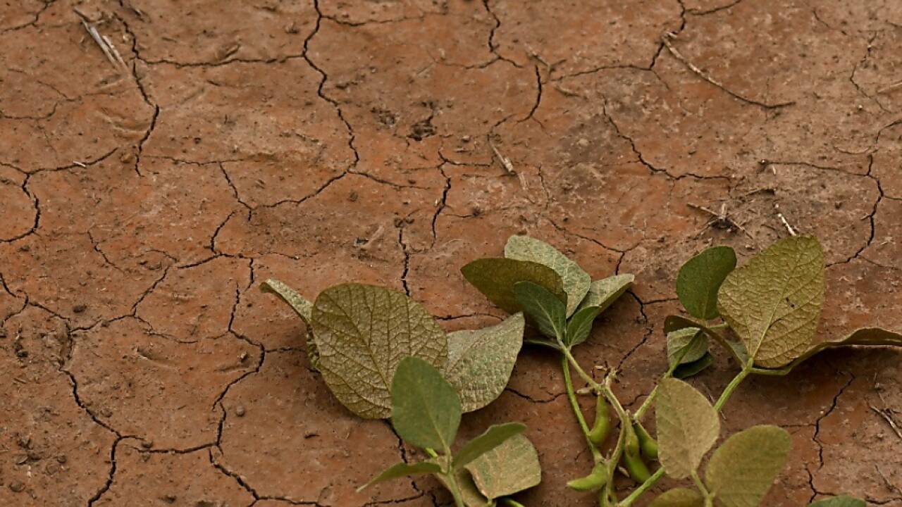 Intensive Landwirtschaft und Klimakrise als Bedrohung 