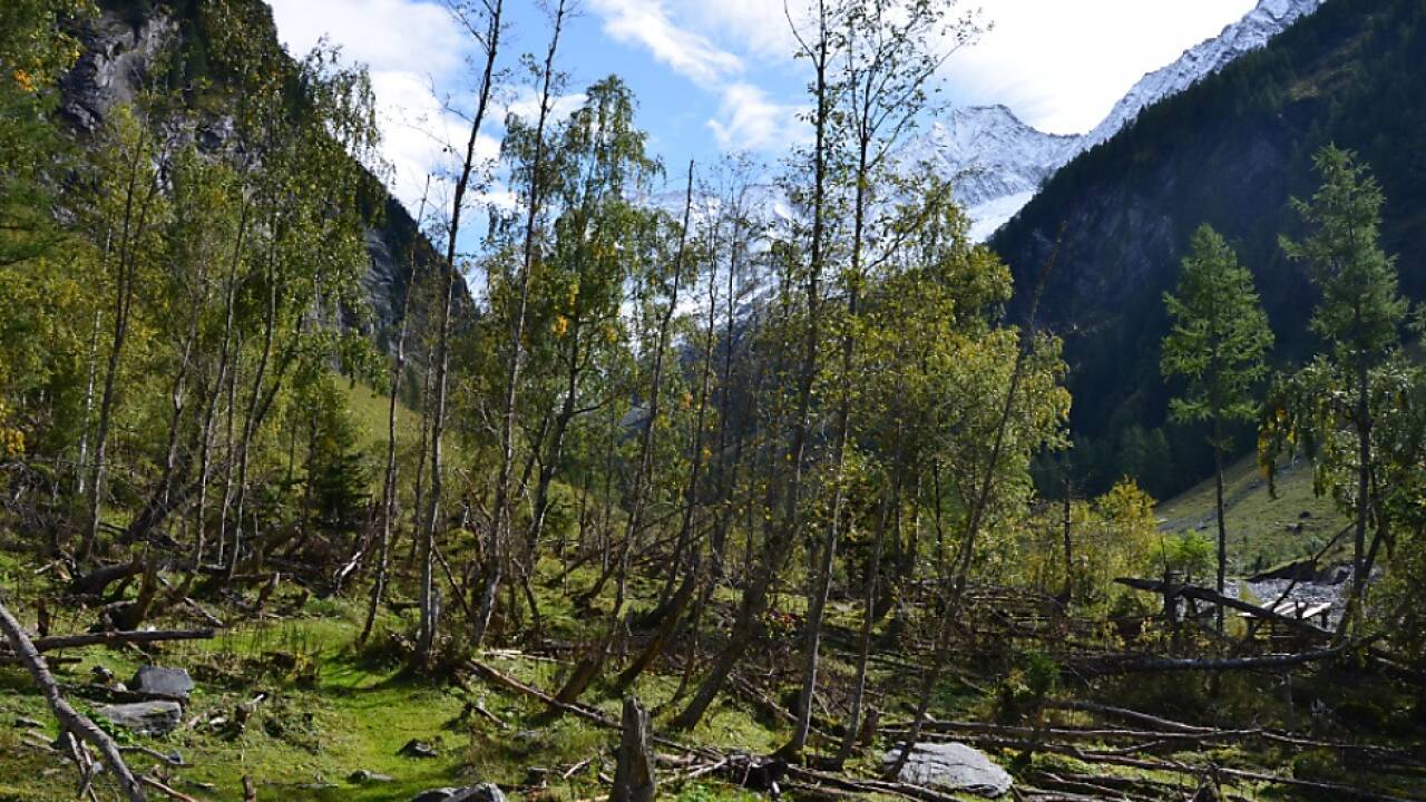 Unberührte Natur im Hinteren Seebachtal im Nationalpark Hohe Tauern in Kärnten. Solche und ähnliche Schutzgebiete soll es laut einer Studie aus der Schweiz bald mehr geben müssen.  