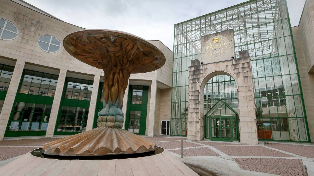 Am Fachbereich Psychologie, der in der Naturwissenschaftlichen Fakultät (im Bild) der Paris-Lodron-Uni untergebracht ist, laufen jetzt schon mehrere Universitätslehrgänge für Psychotherapie.  