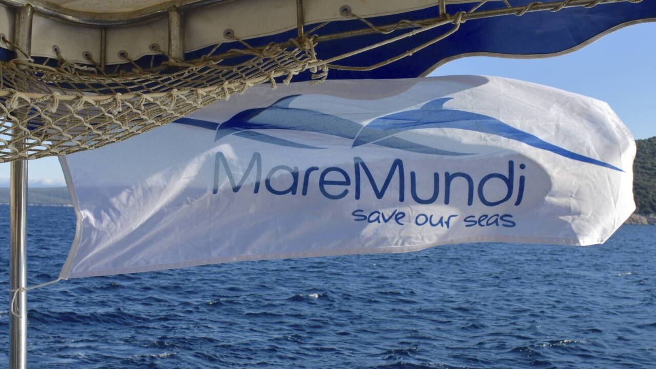 Das Logo der Meeresschutzorganisation MareMundi.   Das Logo der Meeresschutzorganisation MareMundi.