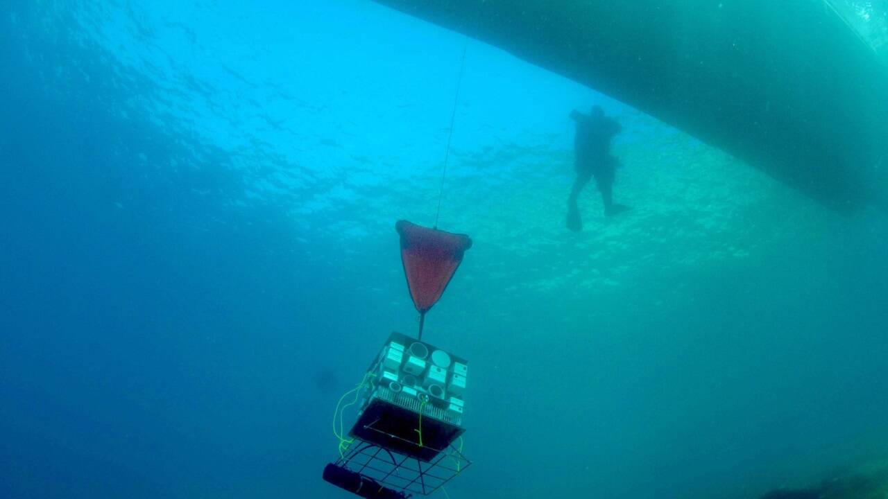 Tec-Taucher beim Erforschen des Kruöija-Kanals, der tiefsten Stelle der nördlichen Adria.   Tec-Taucher beim Erforschen des Kruöija-Kanals, der tiefsten Stelle der nördlichen Adria.