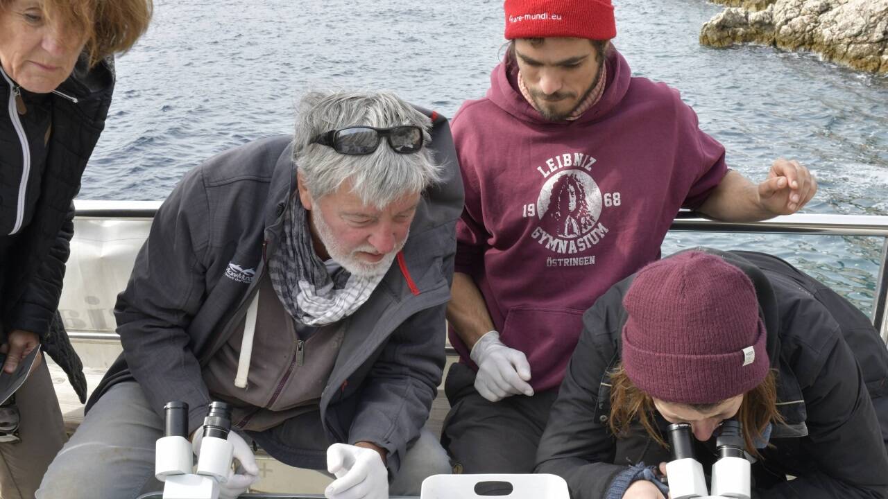 Bei der Forschungsarbeit.   Bei der Forschungsarbeit.