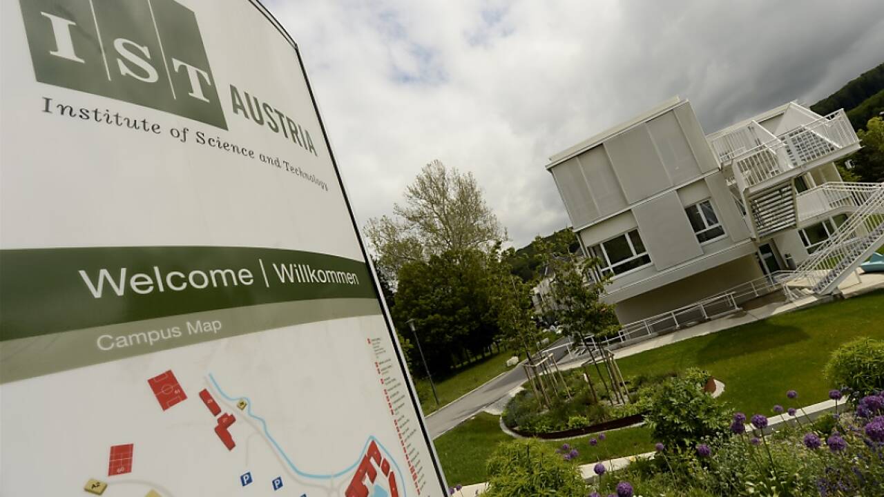 75 Kinder dürfen im August am ISTA forschen 