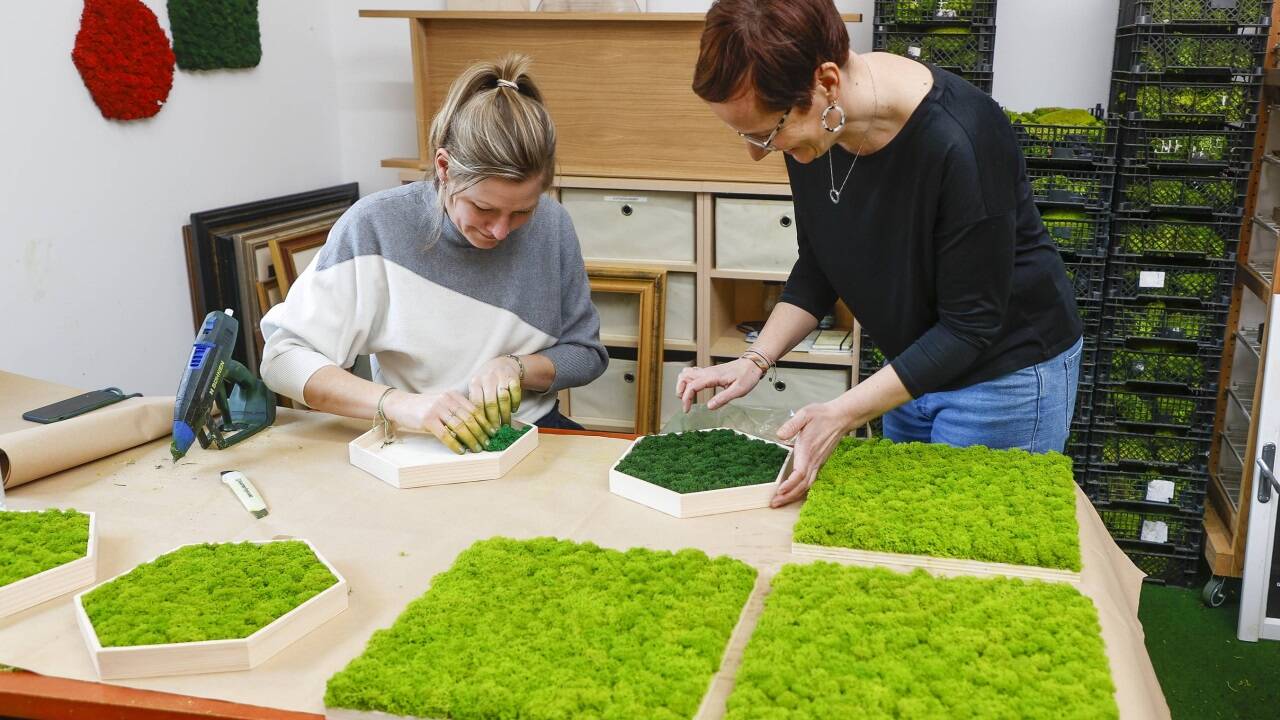 In Handarbeit wird das Moos in die maßgefertigten Rahmen eingefügt. 