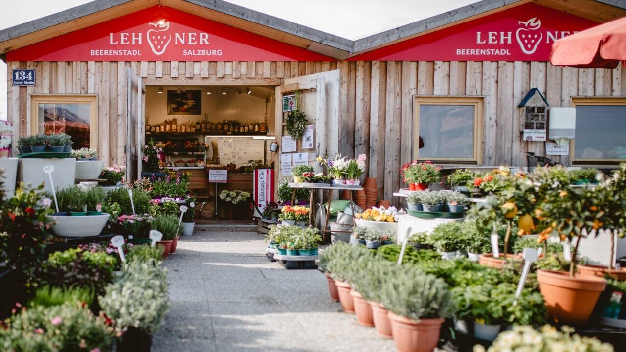 2019 hat Familie Lehner den Beerenstadel in Salzburg-Aigen eröffnet. 2019 hat Familie Lehner den Beerenstadel in Salzburg-Aigen eröffnet.