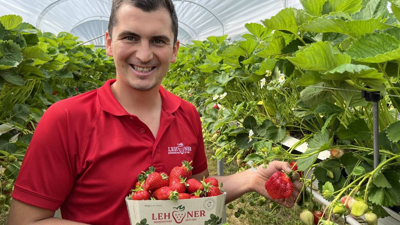 Juniorchef Lukas Lehner. Juniorchef Lukas Lehner.