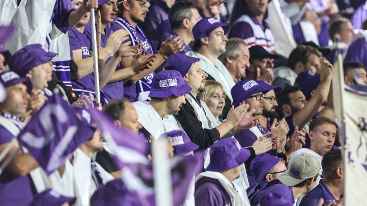 Die Violetten dürfen weiter vom Profifußball träumen. 
