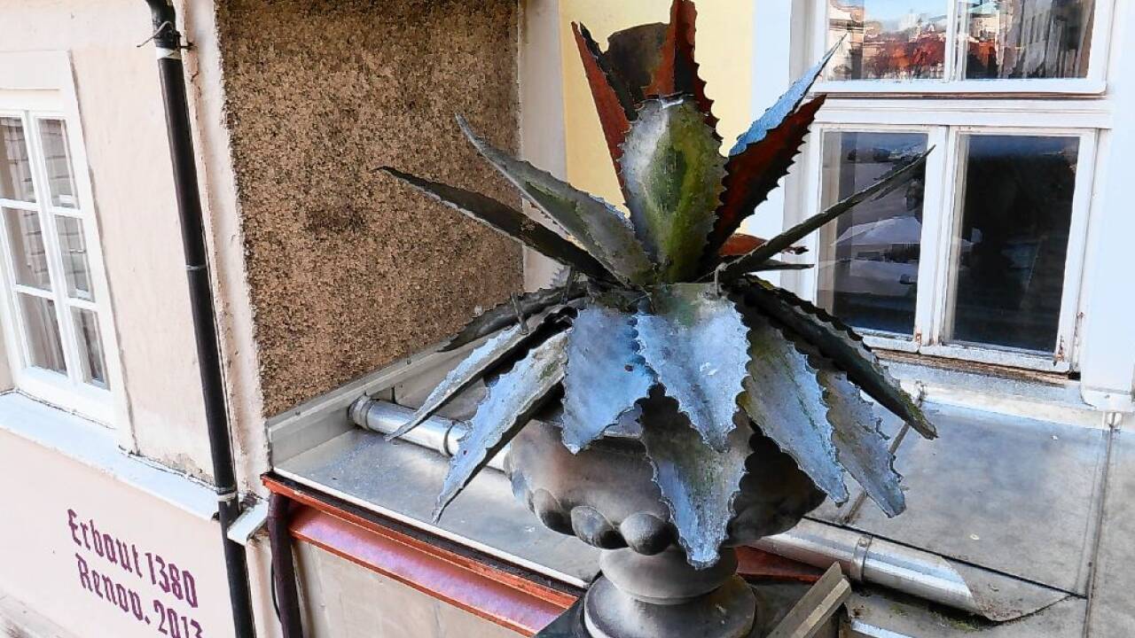 Dieser Pflanzenschmuck erfreut das ganze Jahr über.  