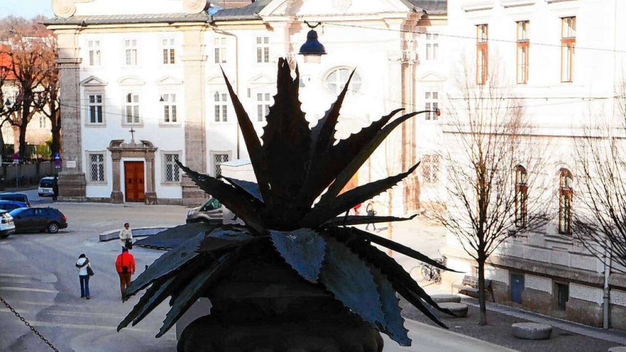Blick vom Dach des Geschäftslokals auf die Kajetanerkirche.  