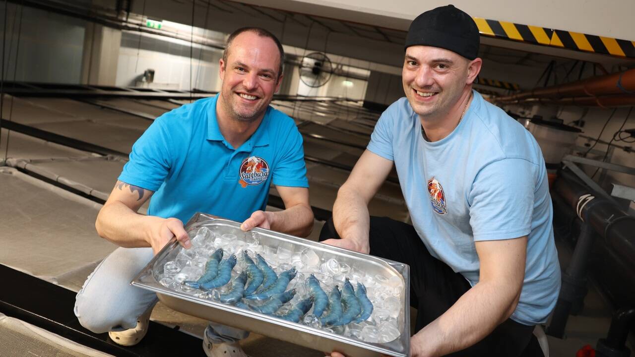 Thomas Praniess und Lorenz Höller mit frisch abgefischten Garnelen aus eigener Produktion.  