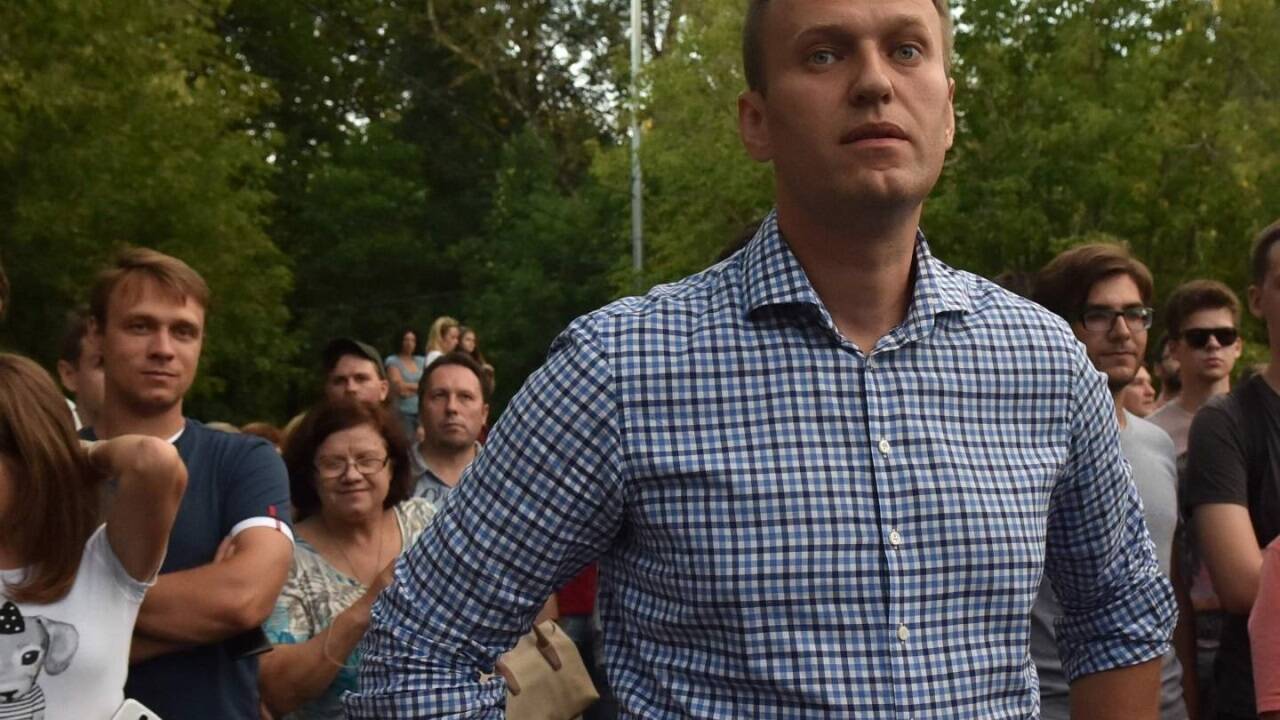 Nawalny störte die öffentliche Ordnung 