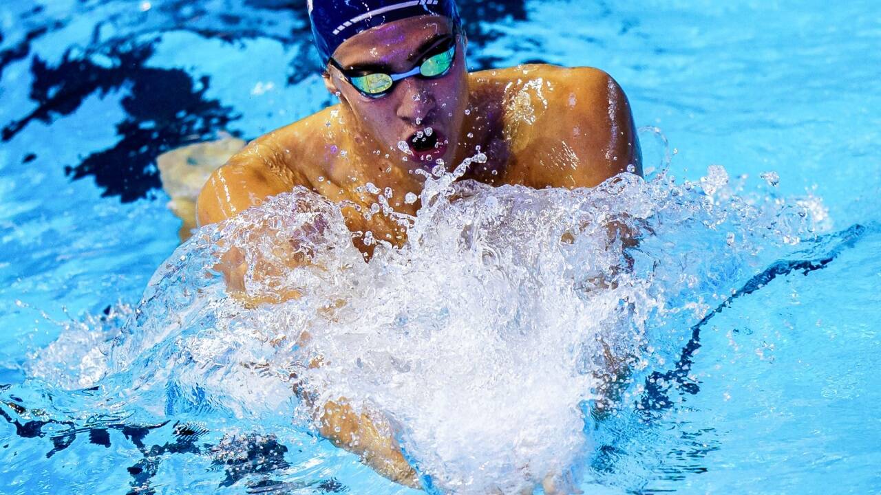 Brustschwimmen ist Luka Mladenovics Spezialität. 