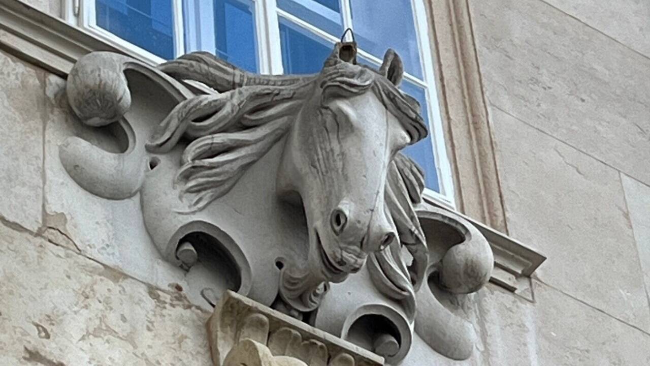 Einem der Pferdeköpfe über dem südlichen Dombogen zum Kapitelplatz fehlt ein Ohr.  
