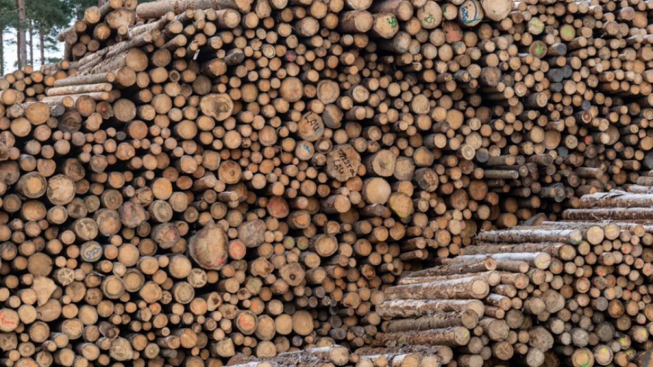 Von Bauen mit Holz erhoffen sich manche Klimaschutzexperten viel. 