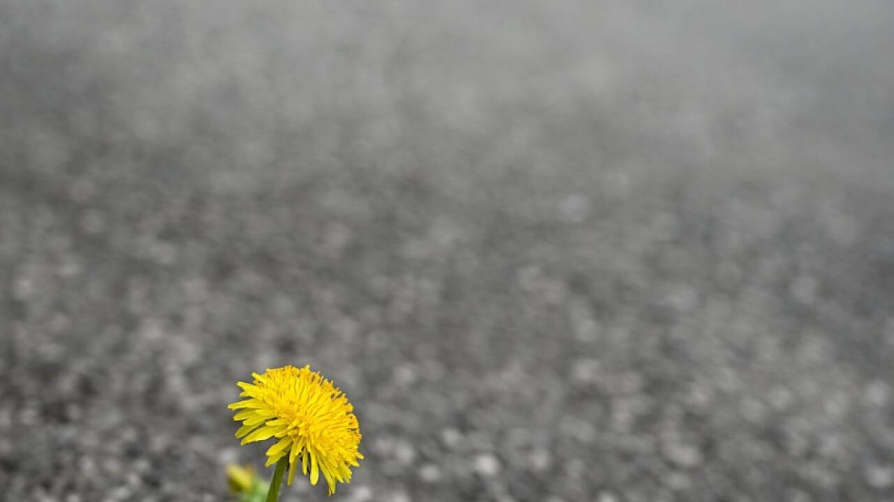 Es gilt, von Experten vorgeschlagene Maßnahmen umzusetzen 