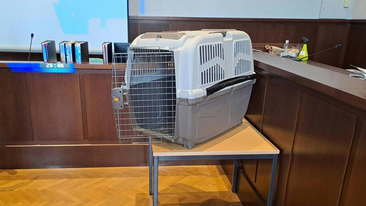 Eine Hundebox: Symbol für das Martyrium des zwölfjährigen Sohnes der Angeklagten. Eine Hundebox: Symbol für das Martyrium des zwölfjährigen Sohnes der Angeklagten.