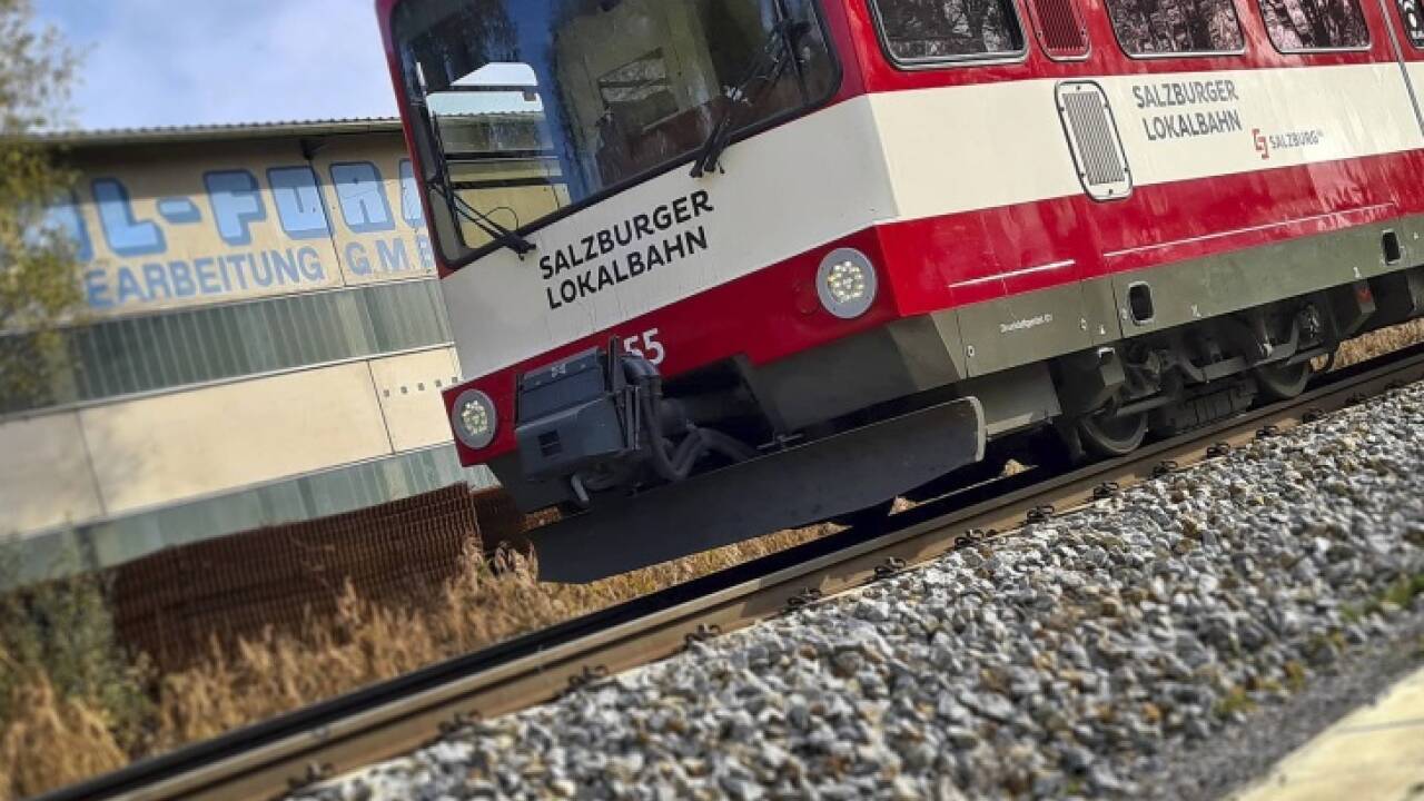 Die Zukunft des S-Link hängt in der Schwebe.  