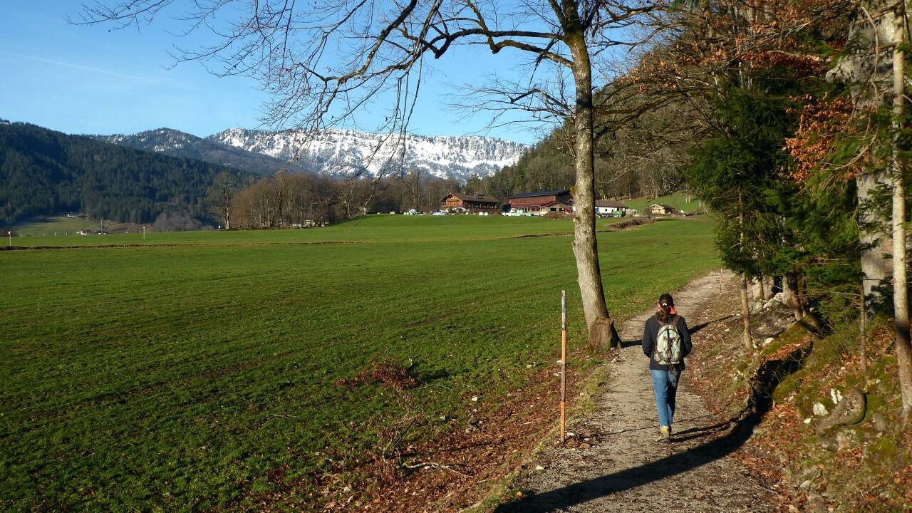 Der sonnige Maximiliansreitweg mit Blick auf das Lattengebirge.  