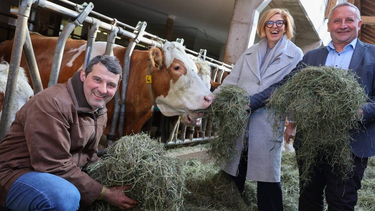 Biobauer Robert Hofer im Stall mit Christiane Mösl und Karl Neuhofer von der Arge Heumilch.  