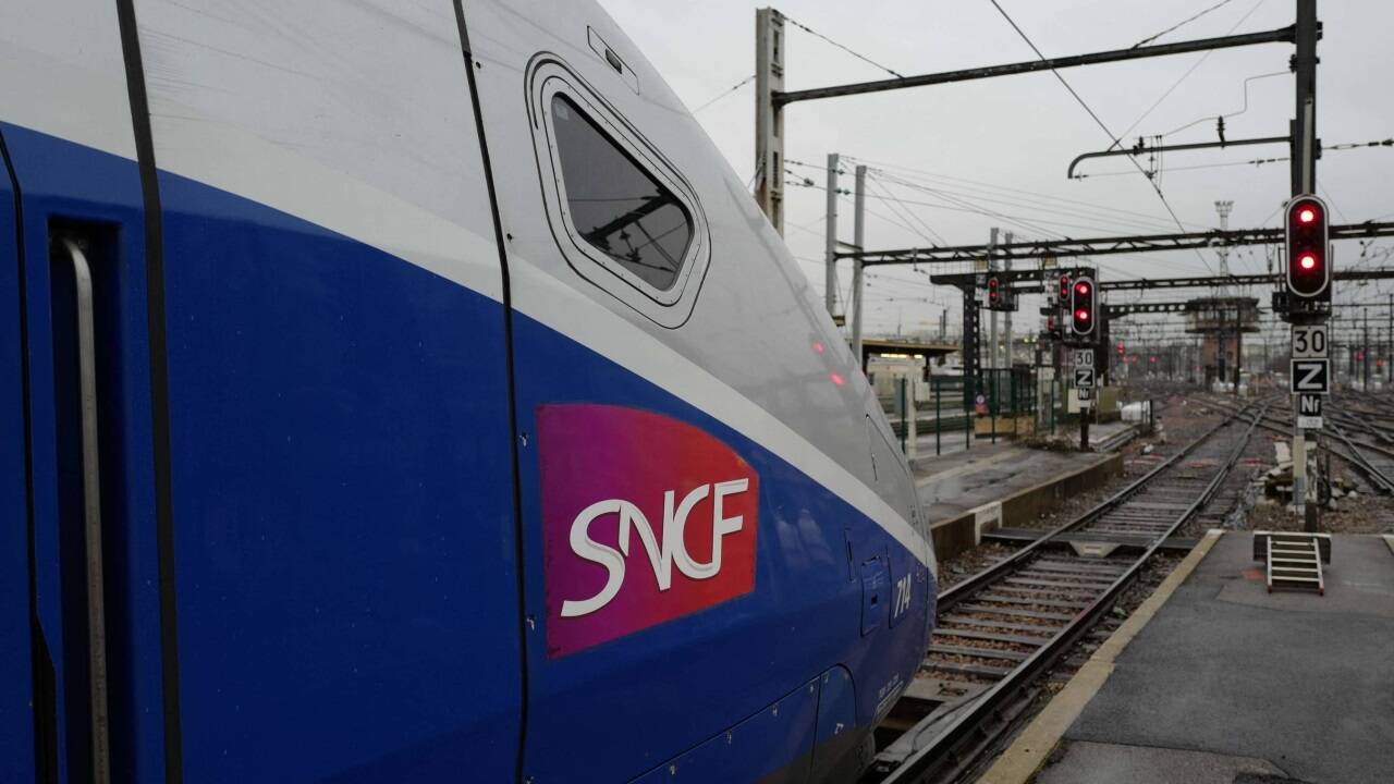 Die französische Staatsbahn SNFC kostete der lange Streik ihrer Mitarbeiterinnen und Mitarbeiter im Jahr 2018 790 Millionen Euro. 