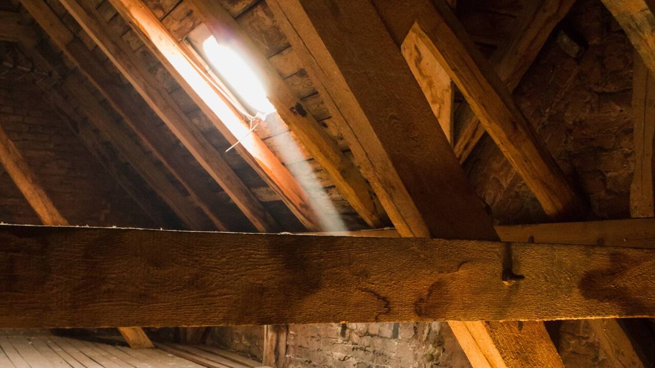 Eine neue Technologie kombiniert eine Entgiftung des Holzes und ein Plasmaverfahren zur Reinigung der Raumluft. 
