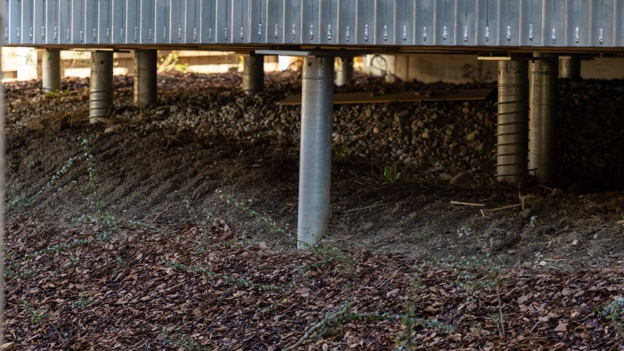 Die Schraubenstelzen, auf denen die Häuser stehen. 