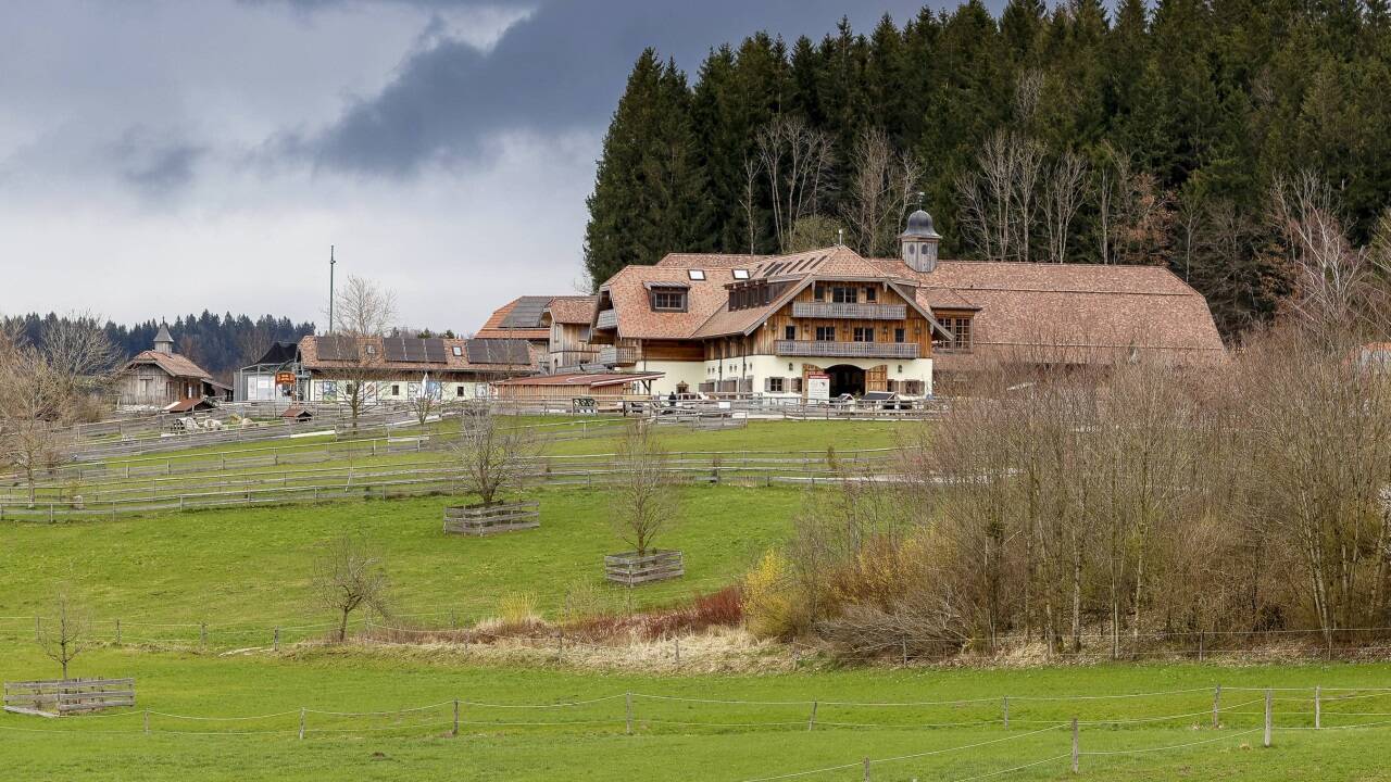 Seit 2000 gibt es den Gnadenhof mit hunderten Tieren und vielen gepachteten Wiesen in Henndorf. Manch Bauer ist dies ein Dorn im Auge. 