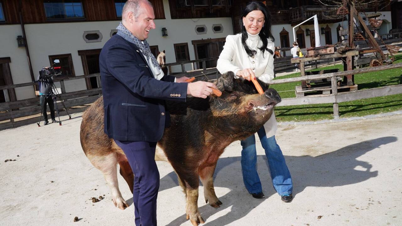 Sonja Klima und Dieter Ehrengruber mit einem hungrigen Schwein. 