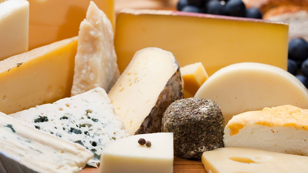 Käse gibt es in mannigfaltigen Formen – Katharina Erlmoser berichtet, welche besonders gesund sind. 