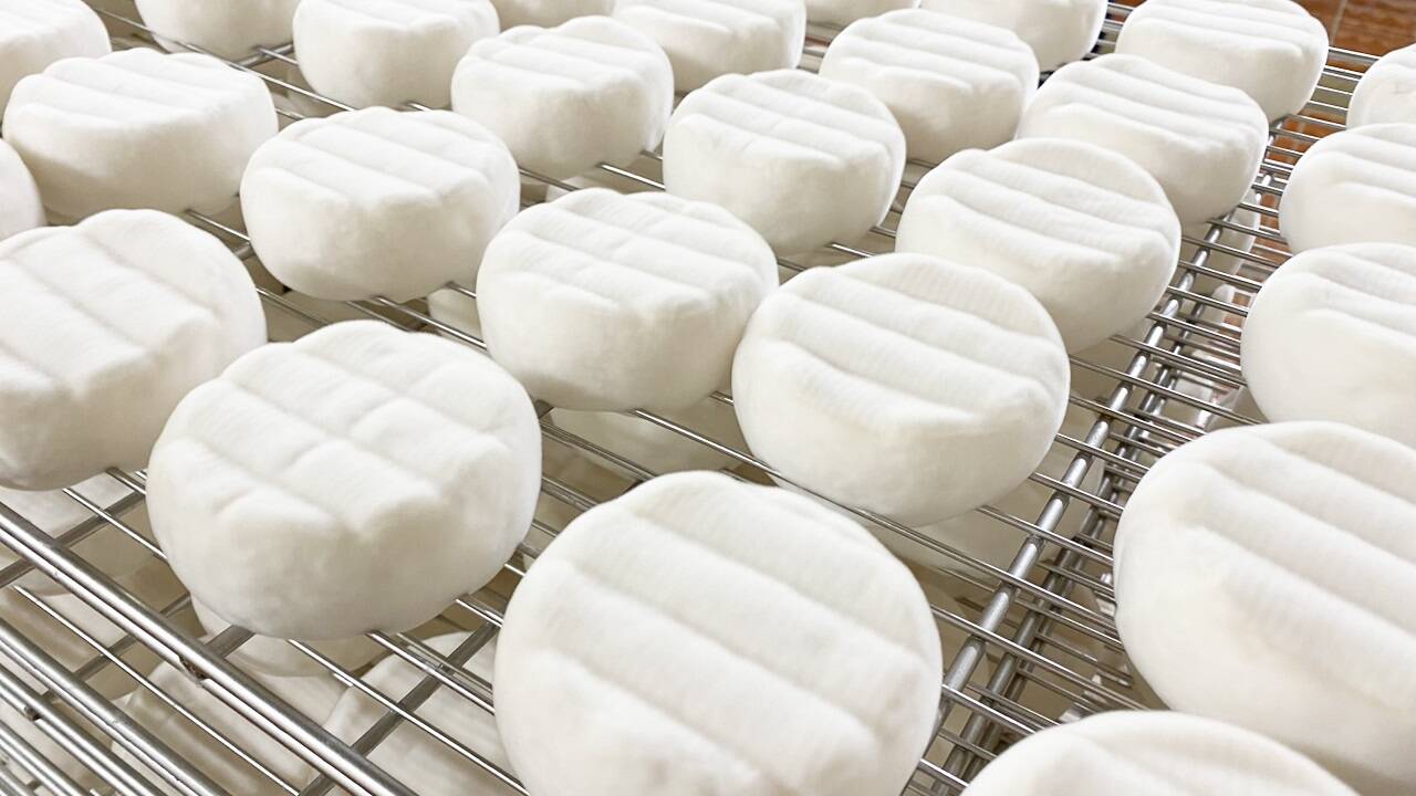 Die Käserei Schlierbach ist auf Weichkäse spezialisiert, sei es auf Camembert (Bild) oder Rotkulturkäse. 