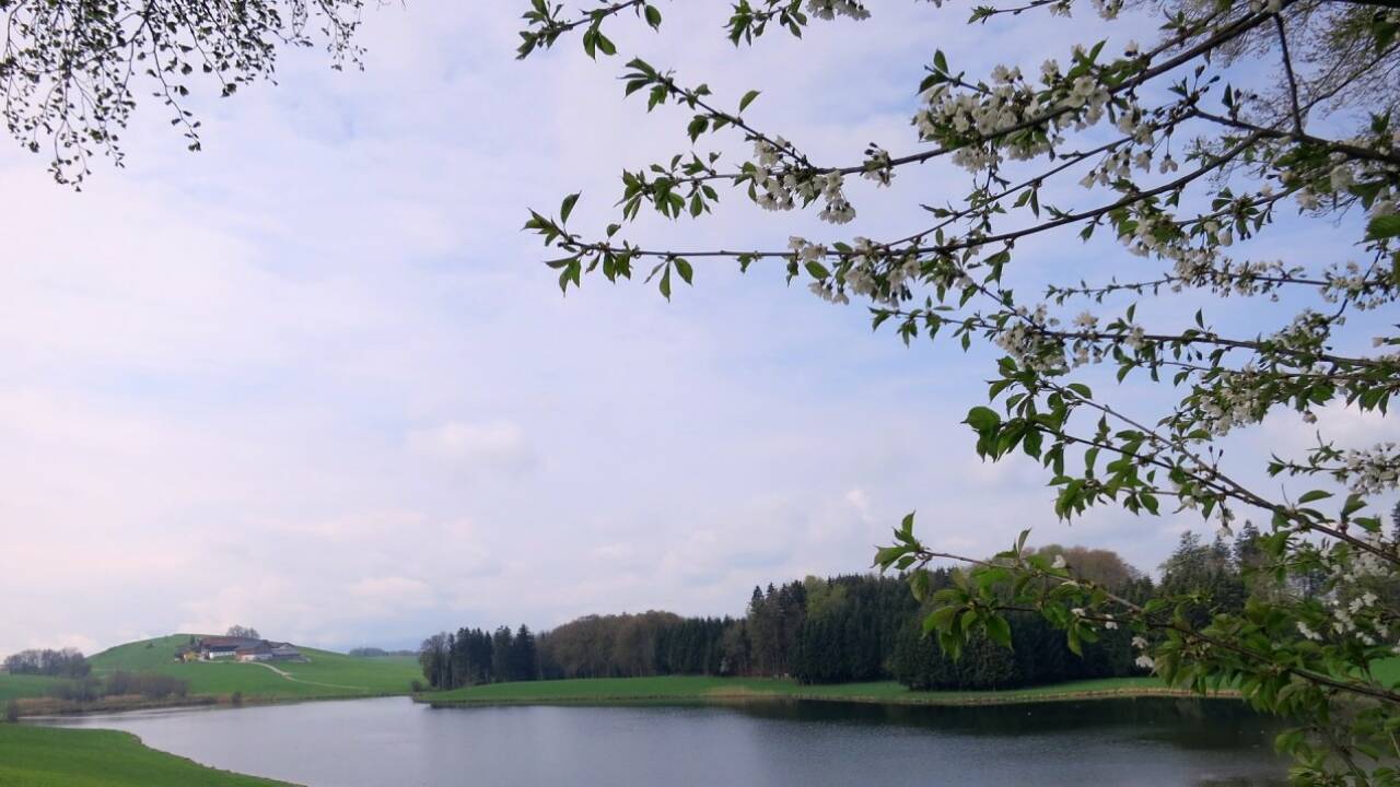Zurück zum Ursprung Zurück zum Ursprung
